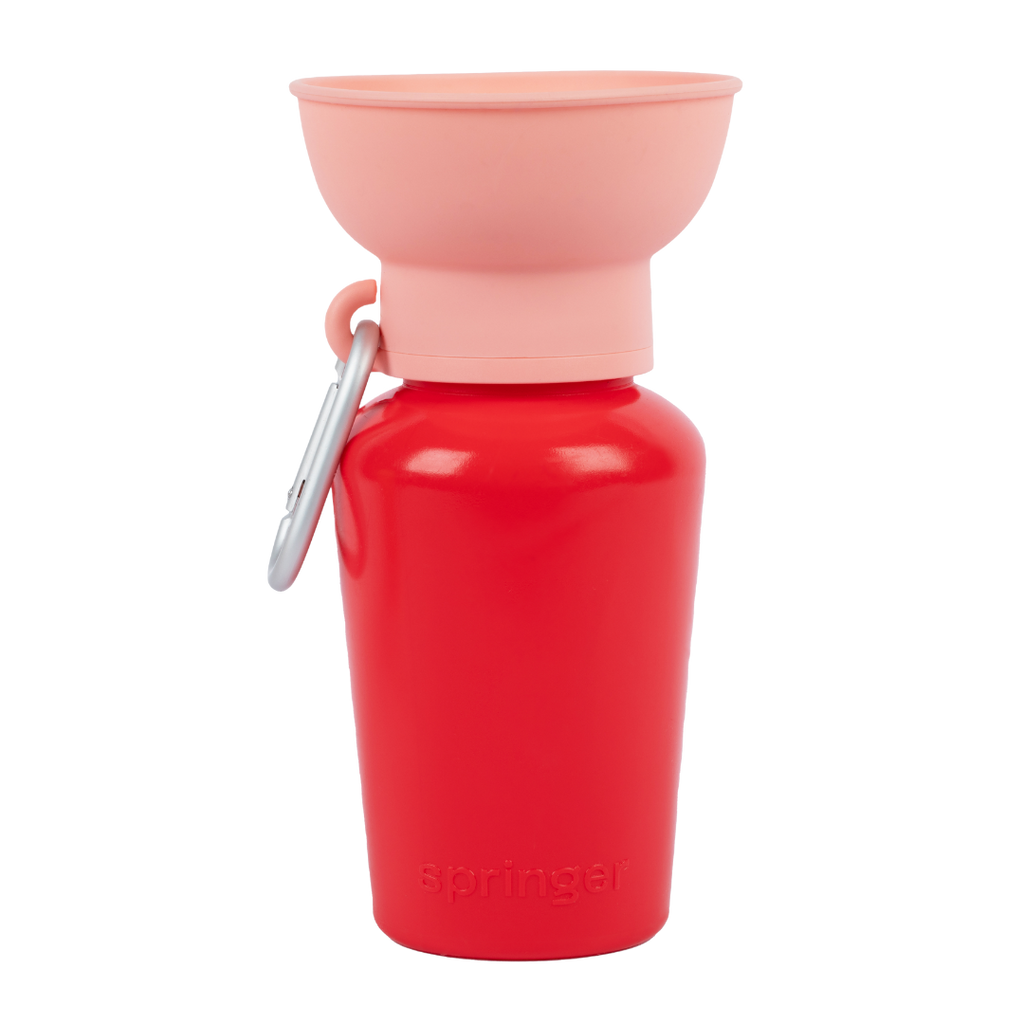 Springer Flip Dog Travel Water Bottle Strawberry/Guava