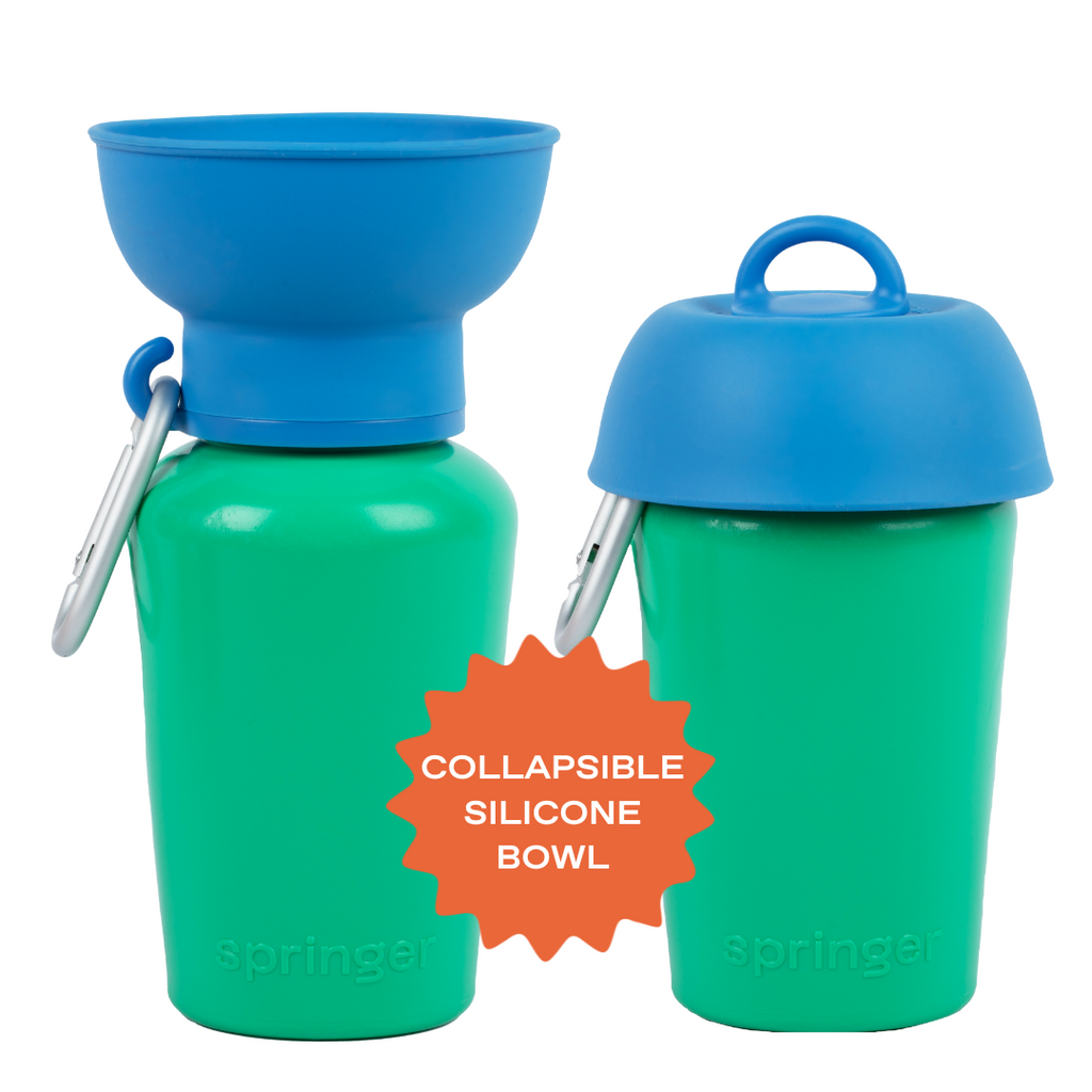 Flip Dog Travel Water Bottle Basil/Blueberry