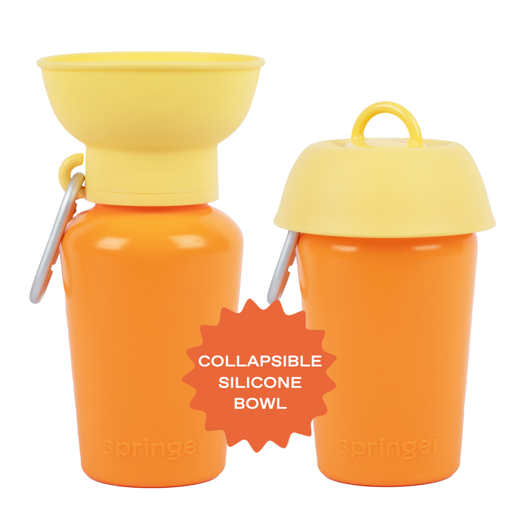 Springer Flip Dog Travel Water Bottle Mango/Lemon