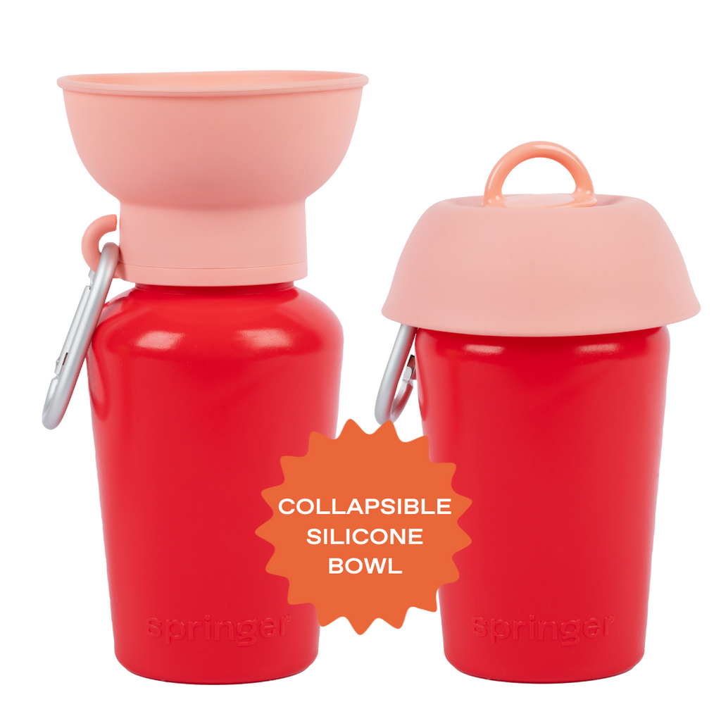 Springer Flip Dog Travel Water Bottle Strawberry/Guava