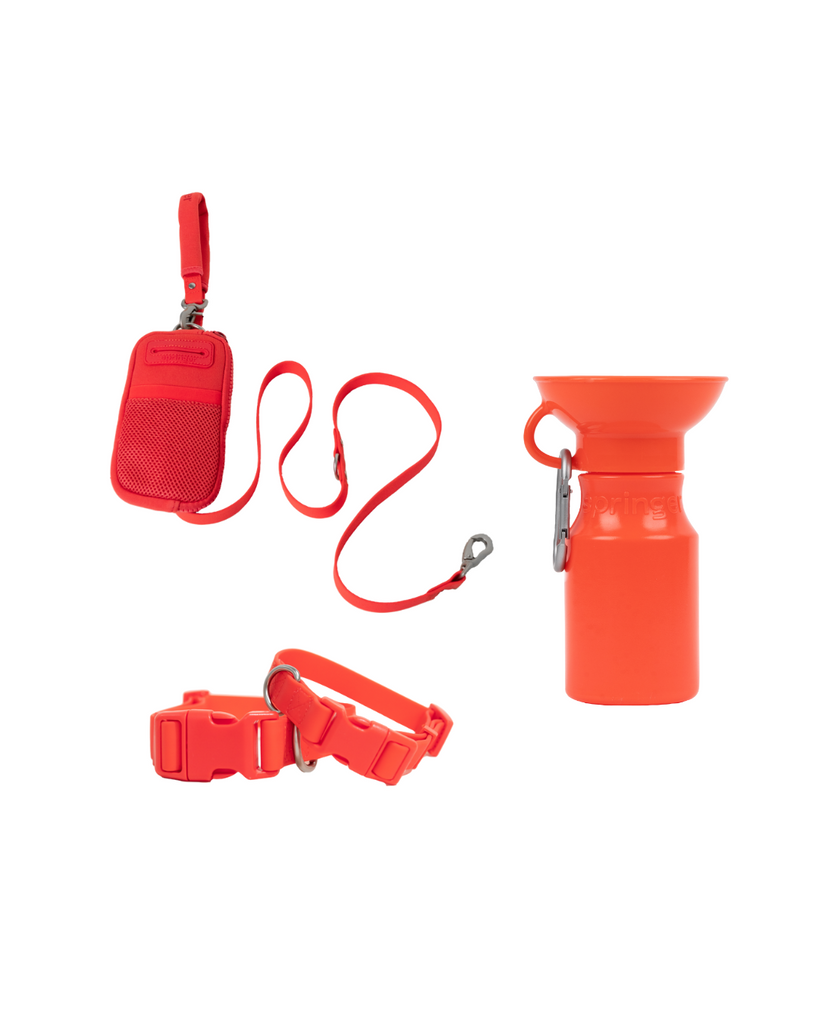 Walk Bag & Bottle Set