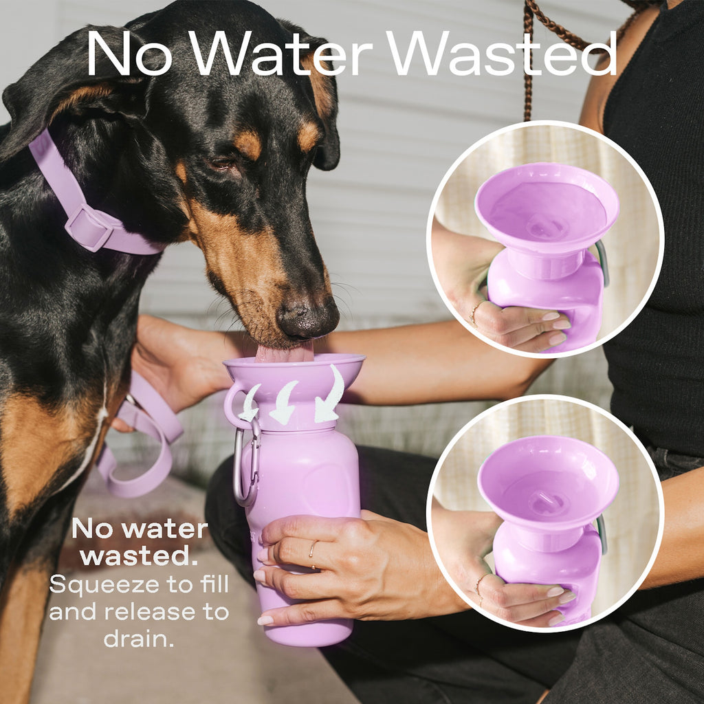 Mini Dog Travel Bottle