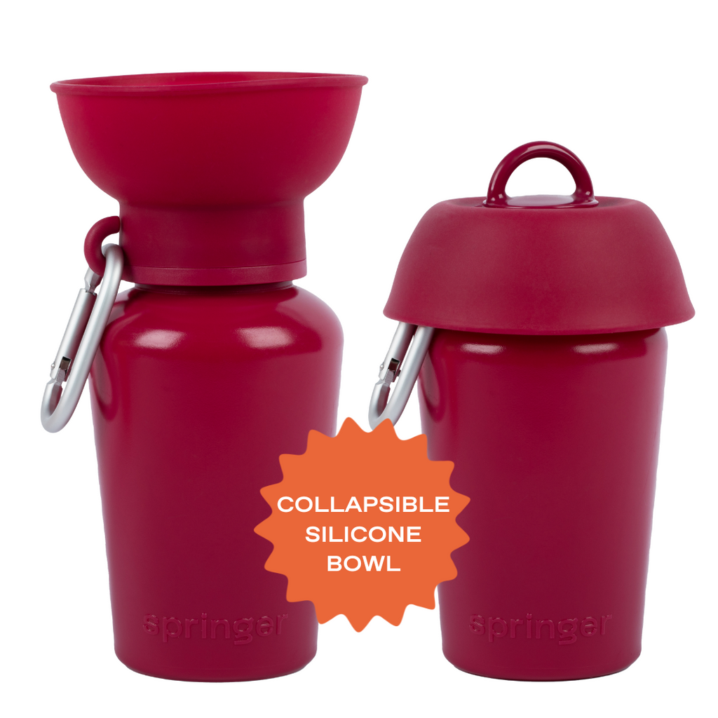 Springer Mulberry Flip Dog Travel Water