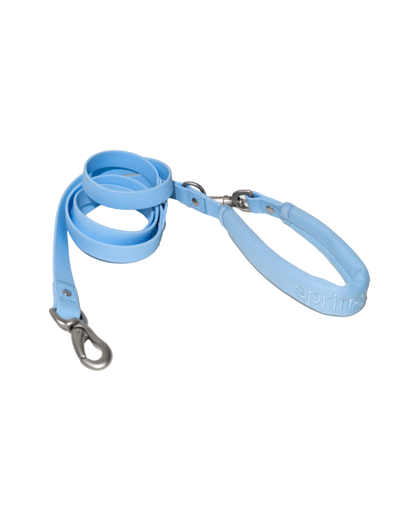 Dog Leash Lilac Sky Blue
