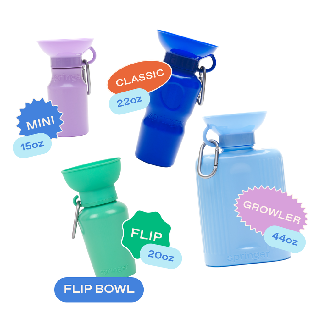 20oz Flip Dog Travel Water Bottle
