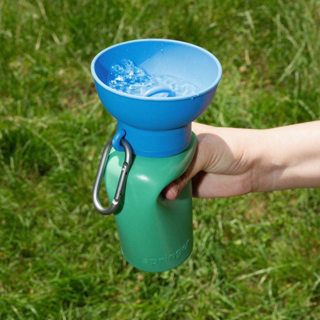 Springer Flip Dog Travel Water Bottle Basil/Blueberry