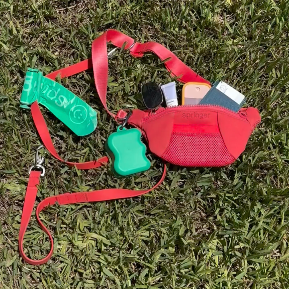 Hands-Free Dog Walk Set