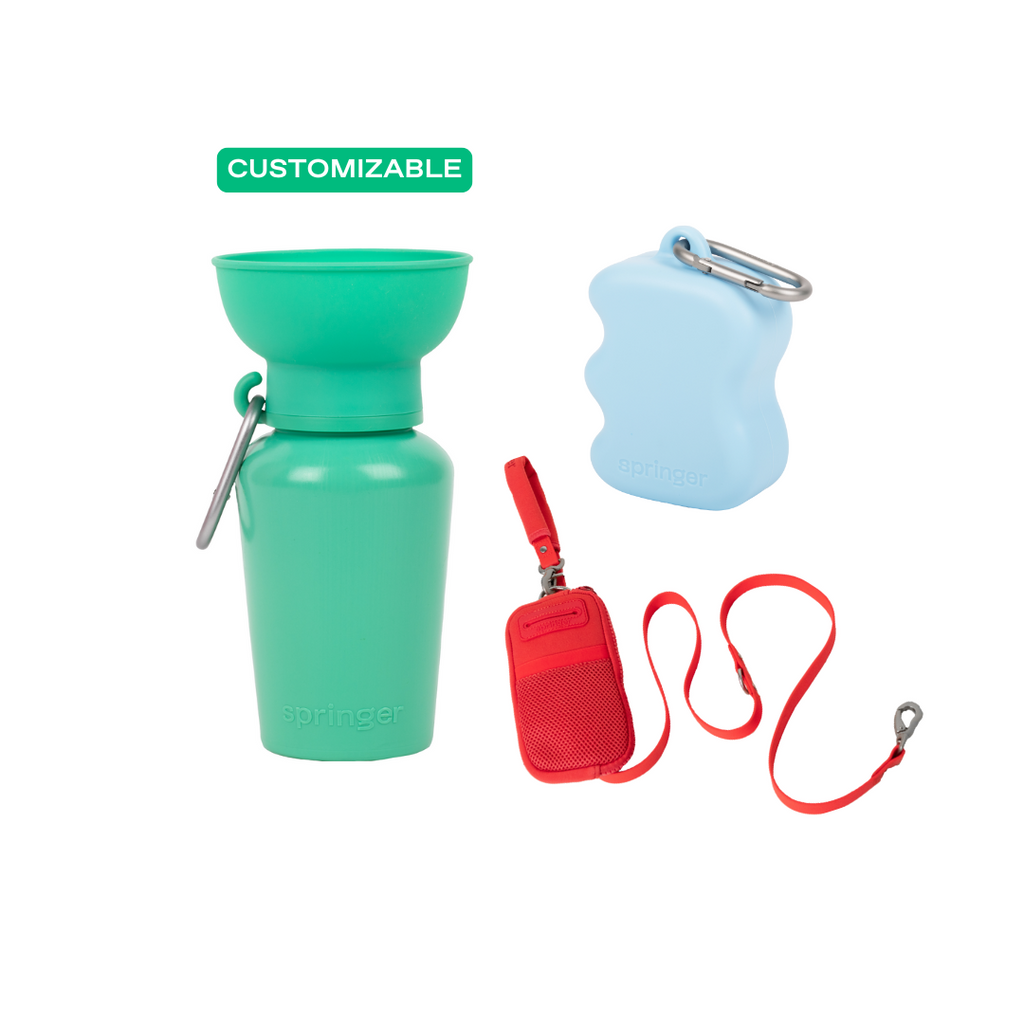Dog Leash Walk Bag Set