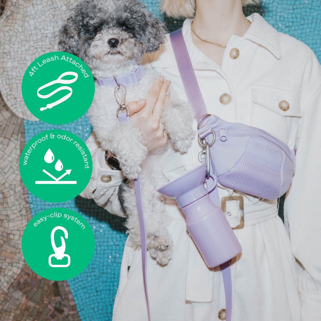 Hands-Free Sling Bag + Dog Leash