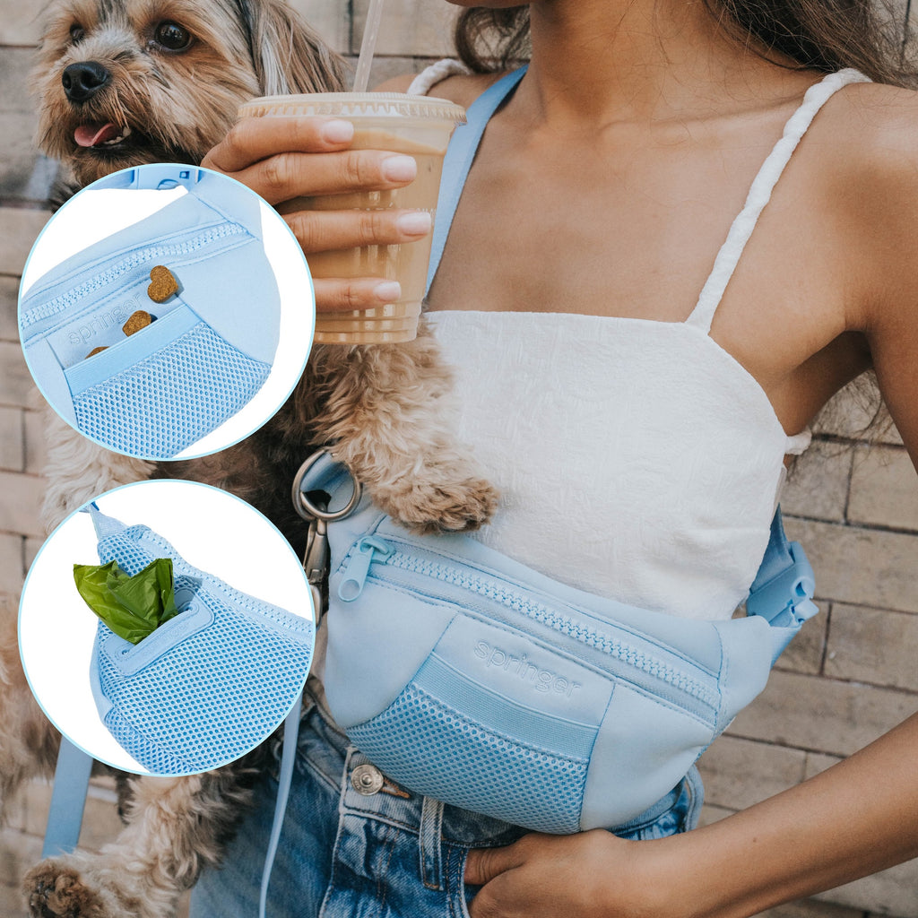 Hands-Free Sling Bag + Dog Leash