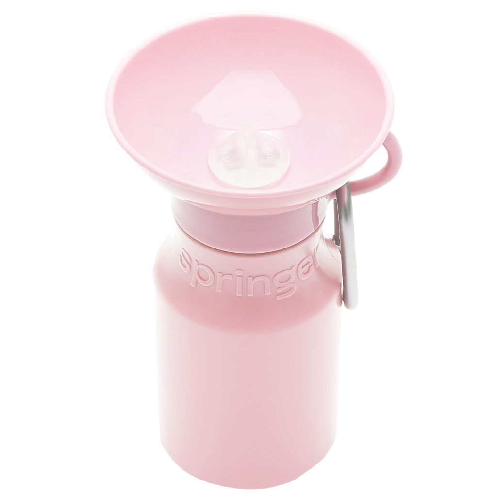 Mini Cotton Candy Travel Bottle