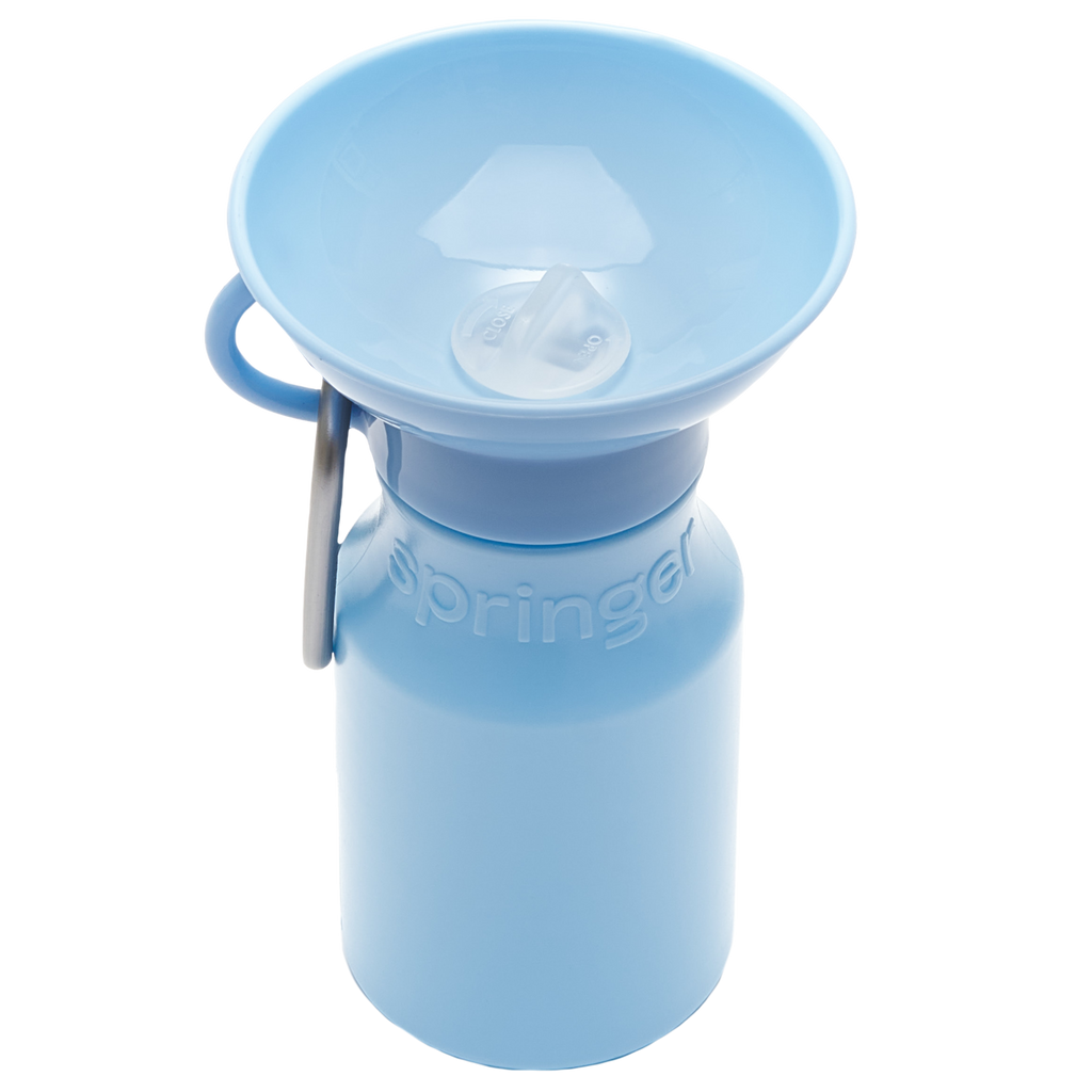 Mini Sky Blue Bottle