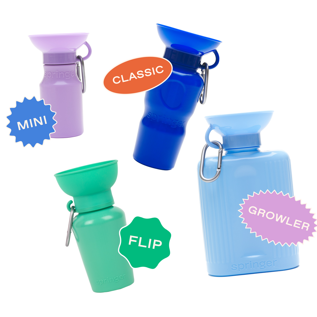 Leash & Dog Bottle Set