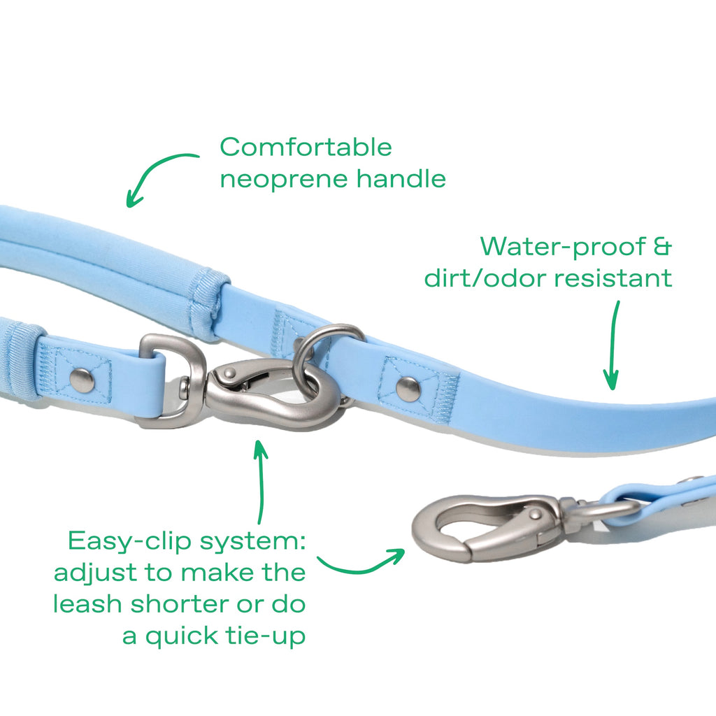 Dog Leash