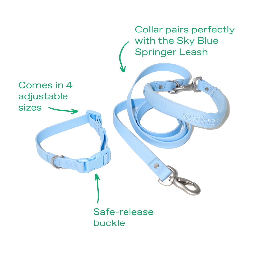 Dog Leash