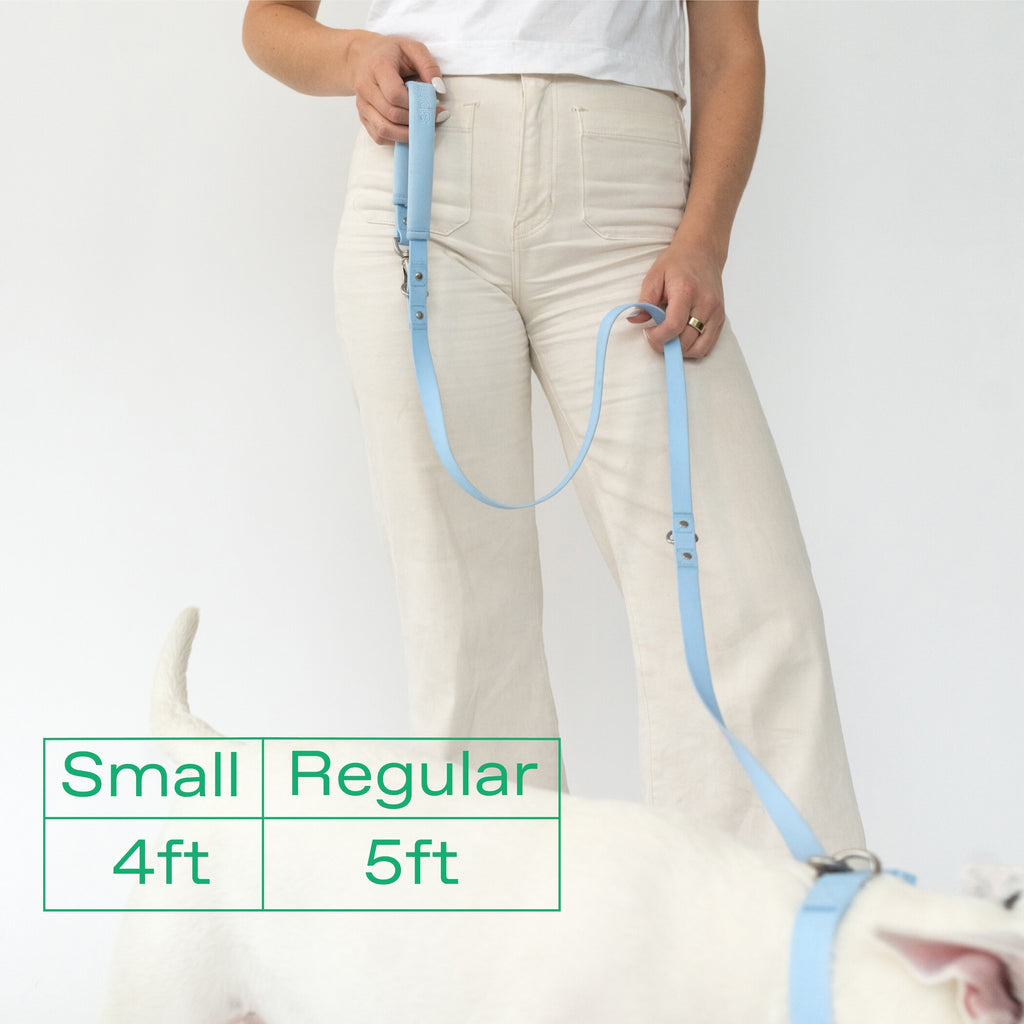 Dog Leash
