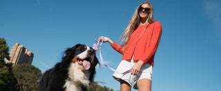 Dog Treat Dispensers