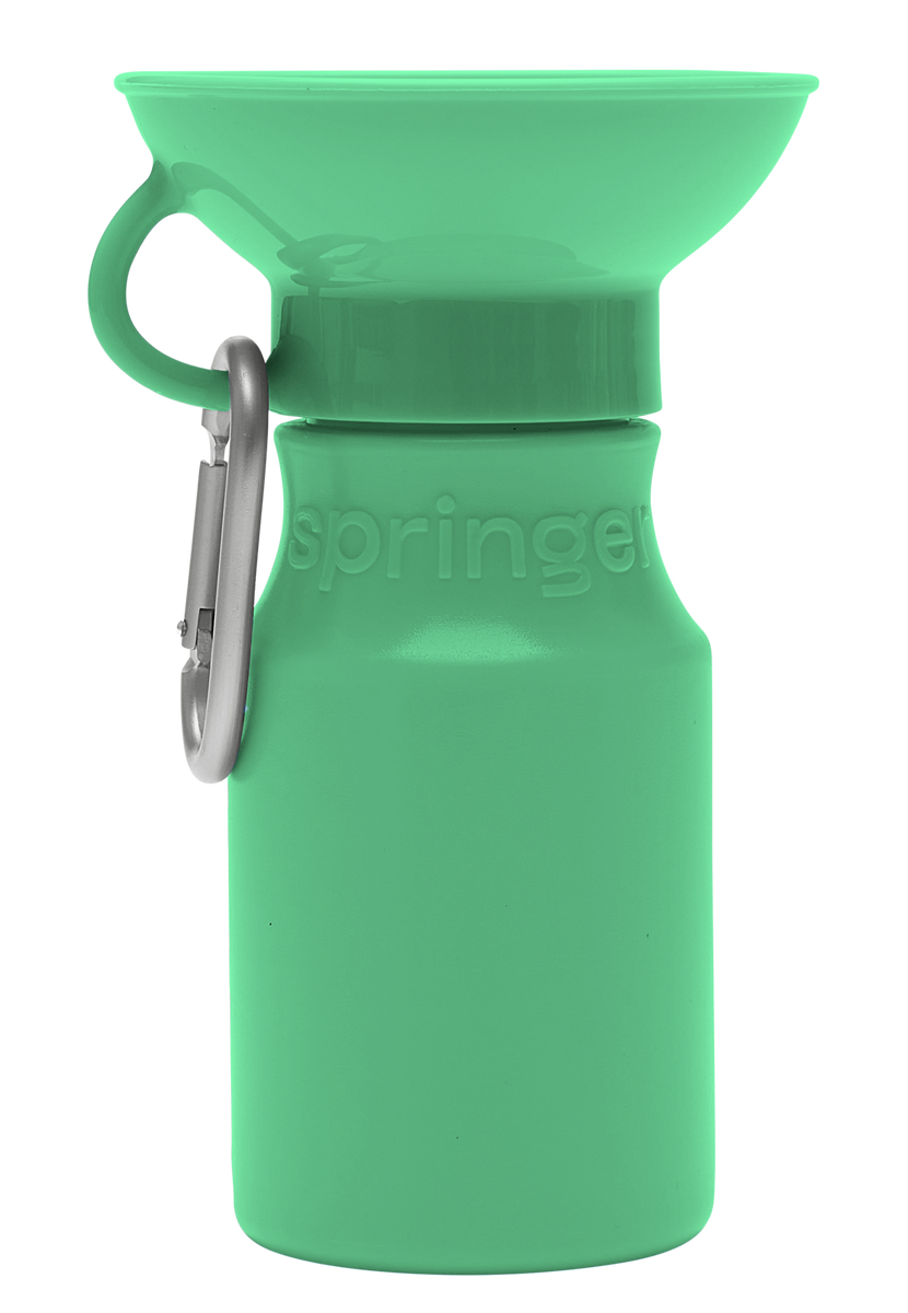 Eco-friendly Silicone Dog Travel Water Bottle - Green 16 Oz : Target