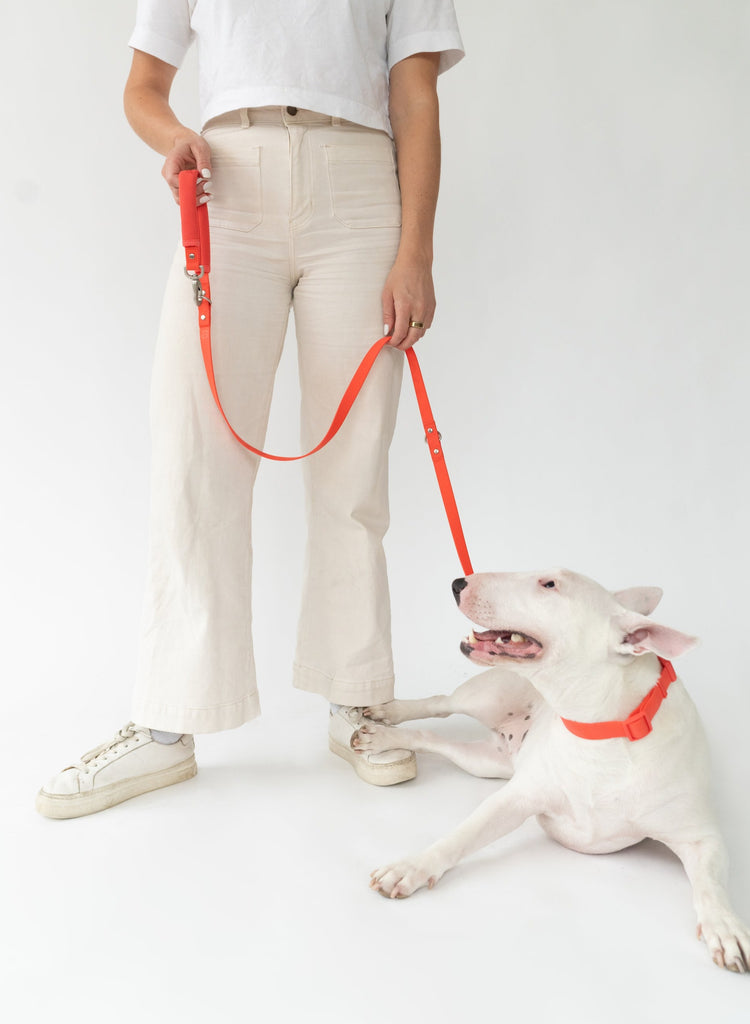 Waterproof Dog Harness and Leash Set | GROOMY Green / S