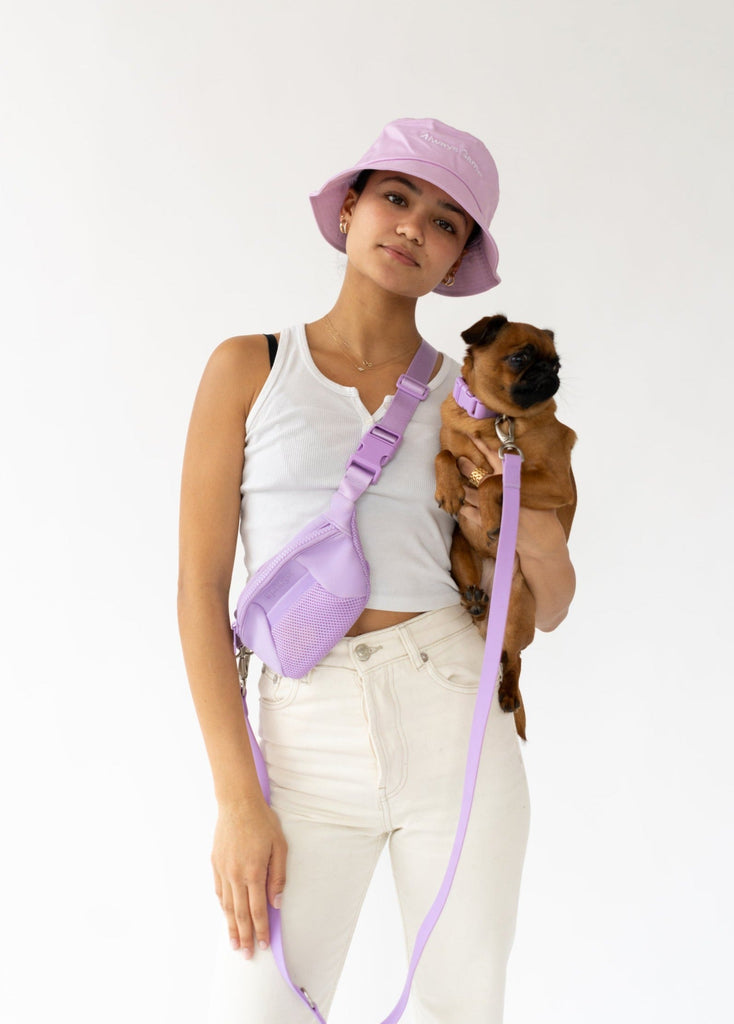 Lululemon Nano Backpacks Are What the Cool Dogs on TikTok Are Wearing