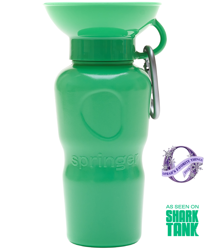 TikTok's favorite water bottle makes hydration fun with