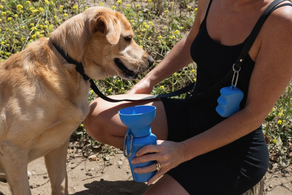 Bottle + Treat Dispenser Set