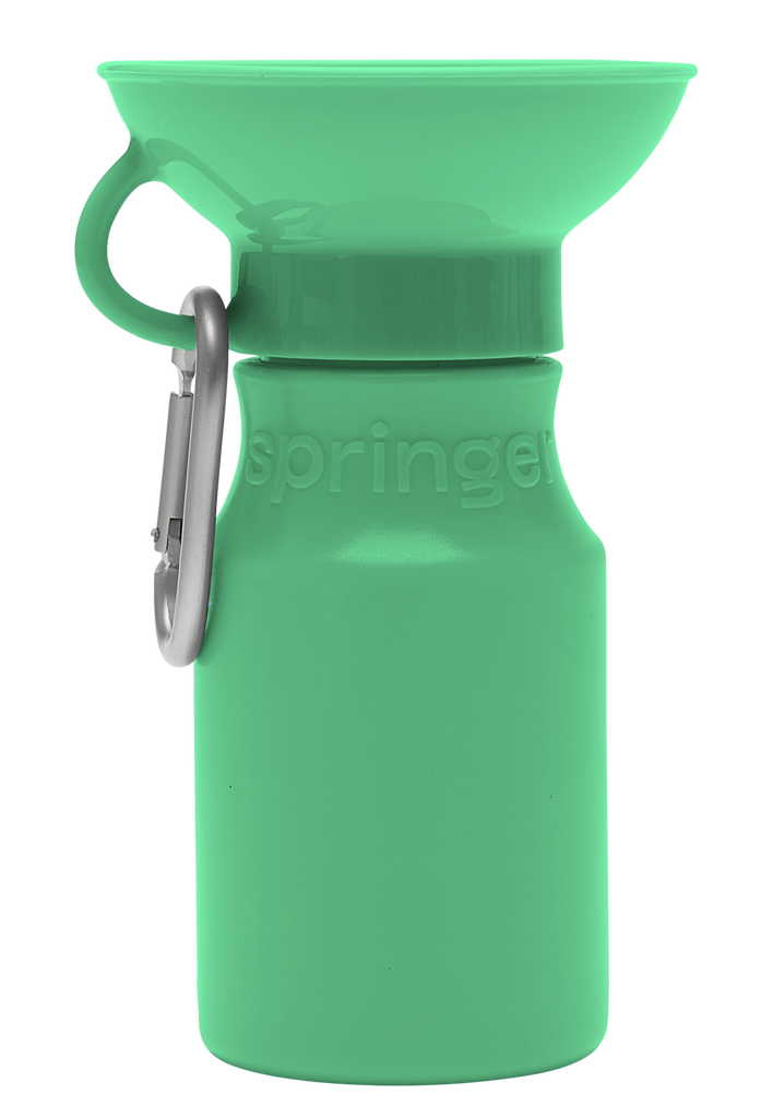 Springer Classic Travel Bottle 22oz Green