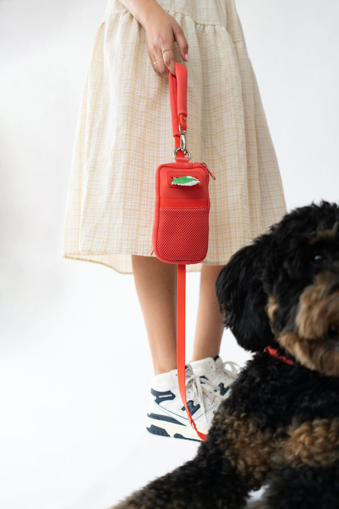 Leash with outlet poop bag