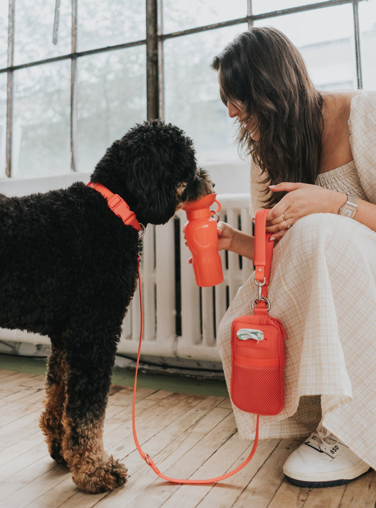 Dog leash phone holder best sale