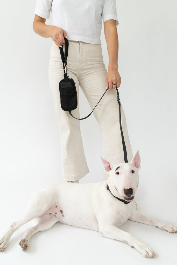 SOGA Orange Adjustable Hands-Free Pet Leash Bag Dog Lead Walking Running  Jogging Pet Essentials | Rockmans