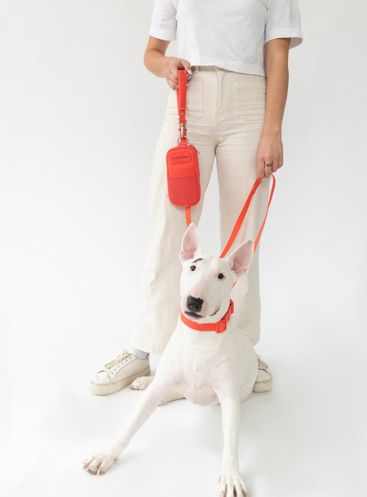 BKT3518 dog leash with water bottle Poop Bag Dispenser And Foldable  Silicone Bowl Adjustable Slip at Rs 380/piece in Gurgaon