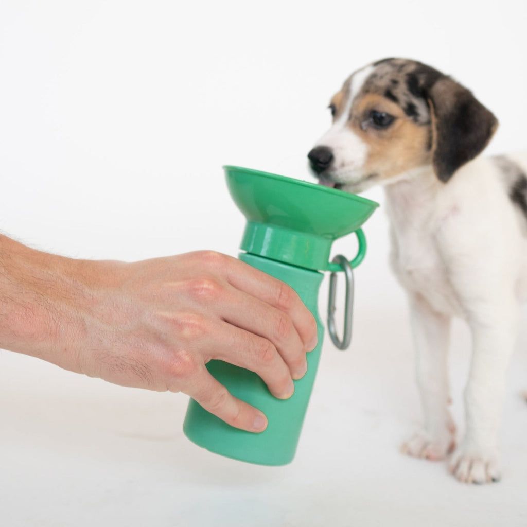 Springer Dog Water Bottle | Portable Travel Water Bottle Dispenser for Dogs  - As Seen on Shark Tank | Patented, Leak-Proof Bottles Fill Bowl with