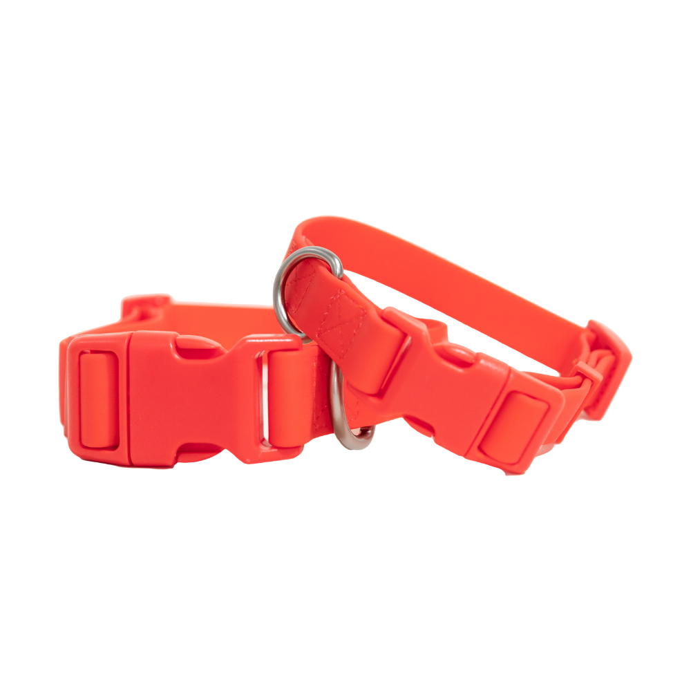 Dog poppy hot sale collar