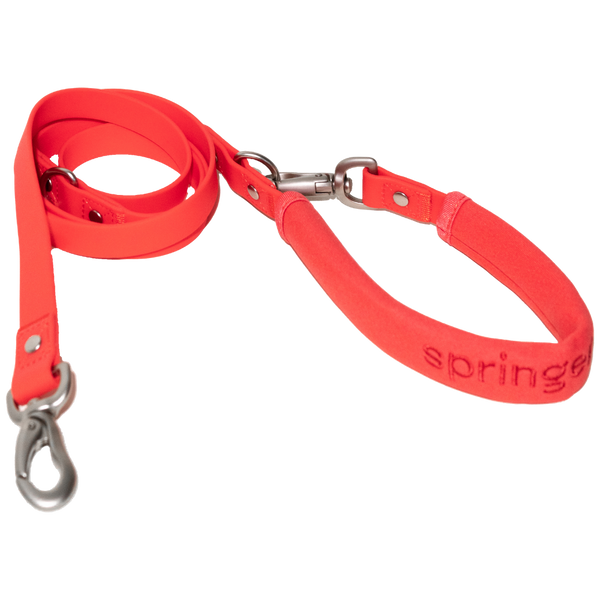 Dog fashion leash small